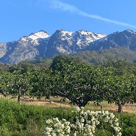 فيلا Mirada A Gredos كانديليدا المظهر الخارجي الصورة