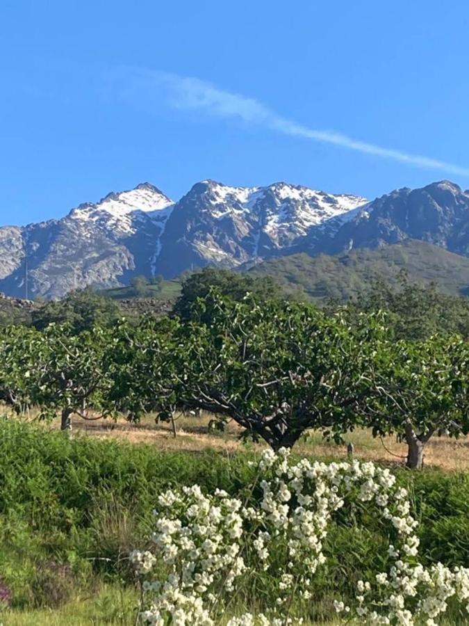 فيلا Mirada A Gredos كانديليدا المظهر الخارجي الصورة