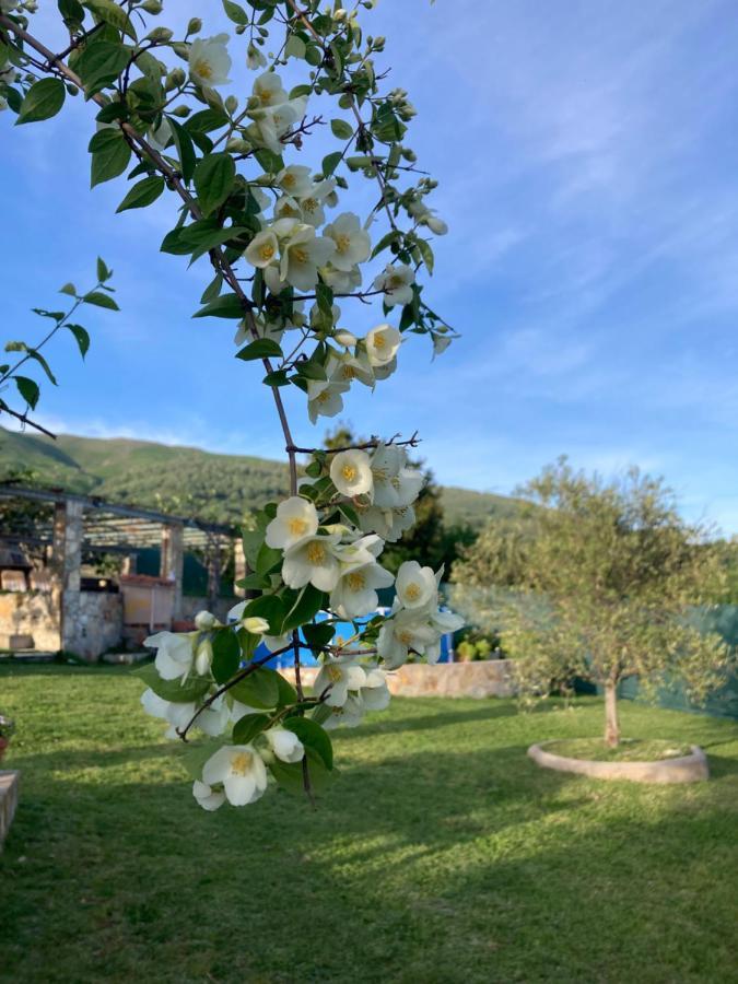 فيلا Mirada A Gredos كانديليدا المظهر الخارجي الصورة